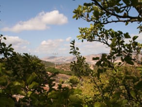 אירוח%20גרוסמן%20,%20כמון